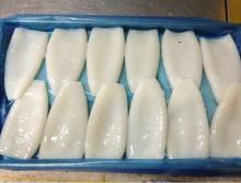 Hot sale tip off squid tube
