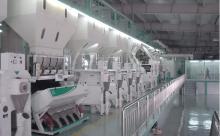 Rice  Polishing   Machine 