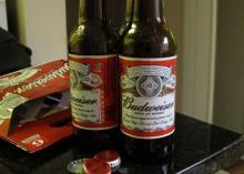 We offer Budweiser Beer, Becks