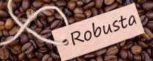 washed AAAAA arabica and robusta green coffee beans for sale