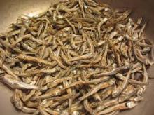 Dried Anchovies Fish