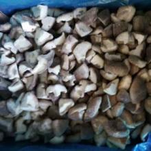 2016 Dried & frozen shiitake mushroom (whole, quarter, slice ,strip ) in bulk