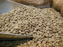 Natural Organic Unroasted Coffee Bean