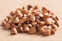 Grain,Barley,Buckwheat,Corn,Wheat,Rice for Sale Now with Low Prce and Good Payment Terms Grain,Ba