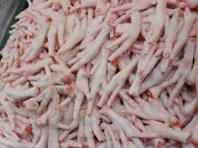 Frozen chicken feet