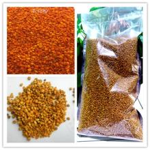 Camellia China Extract Powder Bee Pollen