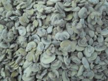 IQF  Champignon  Mushroom Slice, Frozen  Champignon  Mushroom