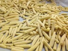 IQF Baby Sweet Corn, Whole, Slice, Cut, Frozen Baby Corn