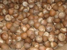 Thai Whole and  Split   Betel  Nut
