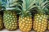 BEST PRICE FOR FRESH PINEAPPLE WITH GOOD QUALITY