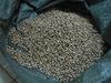 NATURAL  COIX   SEED  WITH HIGH QUALITY FROM VIETNAM