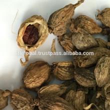 Dried Black Cardamom