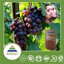 Factory Supply High Quality  Grape   Seed   Extract   Procyanidin e Powder