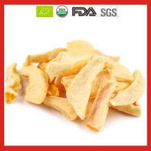 High Quality Organic Freeze Dried Mango/ Freeze Dried Mango Powder in Bulk