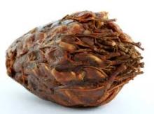 Sour Tamarind With Seed & Concentrated Tamarind Sauce Good Quality