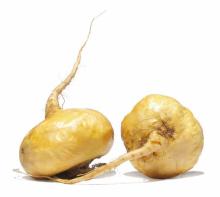 Organic Maca Powder