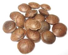 Organic Sacha Inchi Powder