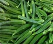  Fresh   Lady   Finger , Okra, Bhendi
