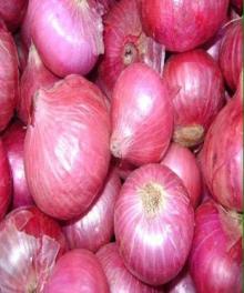 Onion