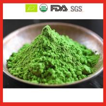 USDA Organic Matcha Powder Free Sample