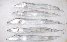 Frozen Ribbon fish