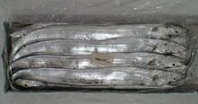 Brazilian whole fresh frozen ribbon fish