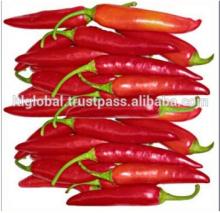 Fresh Chilli