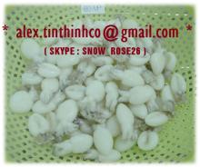  FROZEN   CUTTLEFISH   WHOLE  CLEAN / SLICE CUT