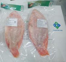 FROZEN RED TILAPIA FISH