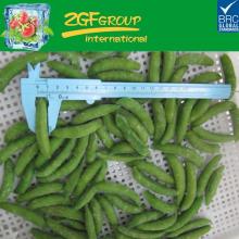  organic  fresh  raw   material  sugar snap pea manufacturer