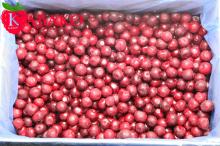 hot sale high quality frozen cherries 2016 new season IQF frozen sour cherry