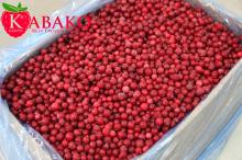 Good quality IQF RED CURRANT iqf/frozen lingonberry, red and delicious berry redcurrent