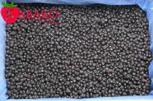  IQF  FROZEN PLANTED BERRY