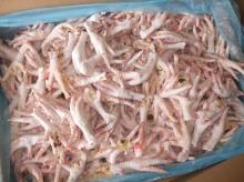 HALAL CLEAN GRADE A CHICKEN FEET / FROZEN CHICKEN PAWS HUNGARY