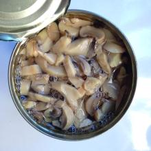Fatory Price Premium Canned Champignon  Mushroom   PNS  in Brine