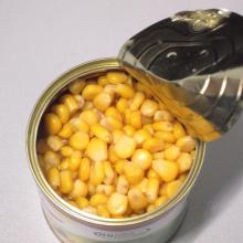 Factory Price Premium Canned Sweet Corn in Brine