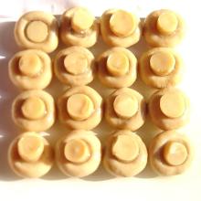 Fatory Price Premium Canned Button Mushroom Whole in Brine
