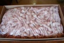 Clean Fresh Frozen Chicken Feet and Chicken Paws