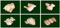 Frozen Halal Whole Chicken, Chicken Breast, Chicken Quarter Legs, Chicken Paws and Feet (Grade A)