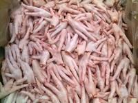 Top Quality Frozen  Chicken  Feet and Paws - Discount Price