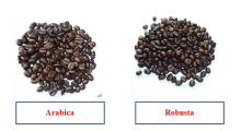  ROASTED   COFFEE  BEAN - AN THAI CAFE