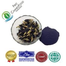 Butterfly Pea flower (Dried Flowers / Powder)
