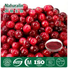  Natural   Cranberry  Juice Extract Powder