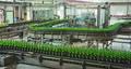 Holland Heineken Beer 250ML, Can 33cl & 50cl