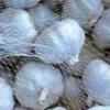 Fresh Natural Pure White Garlic