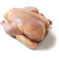 Grade A Brazilian Halal Frozen Whole Chicken /Frozen Whole, Halal Fresh Frozen Chicken Fillet