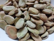 Broad  Bean s,  Fava   Bean s, Canned  Bean s