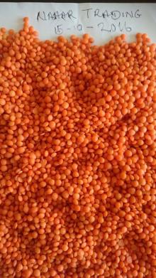 RED LENTILS