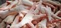 Frozen Pork Feet and Chicken Feet Grade A