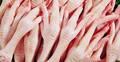 Frozen Chicken Feet,Paws,Wings,Leg Quater,Whole